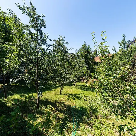 Daire Old Town Bascarsija 1bdr House With Garage & Garden *